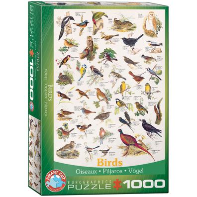 EuroGraphics 6000-1259 Vögel 1000-Teile Puzzle