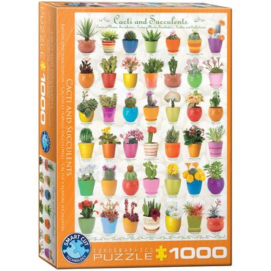 EuroGraphics 6000-0654 Kakteen und Sukkulenten 1000-Teile Puzzle