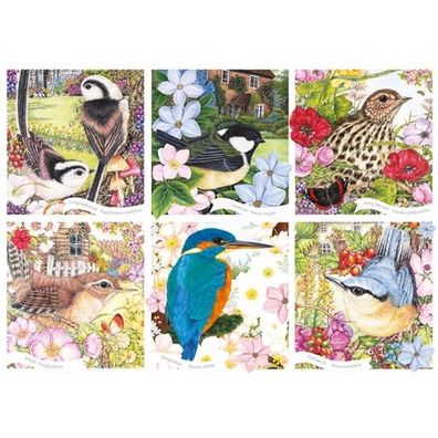 Otter House 75079 Anne Mortimer RSPB Garden Birds 1000 Teile Puzzle