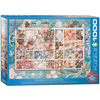 EuroGraphics 6000-5529 Muschelsammlung 1000 Teile Puzzle
