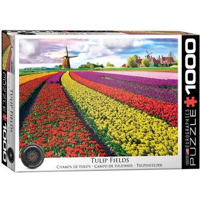 EuroGraphics 6000-5326 Tulpenfelder Niederlande 1000-Teile Puzzle