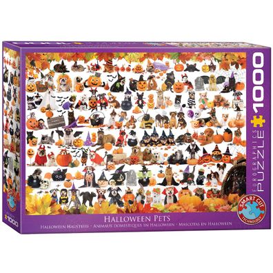 EuroGraphics 6000-5416 Halloween Welpen und Kätzchen 1000 Teile Puzzle