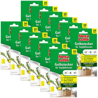 12 x NEXA LOTTE® Gelbstecker für Topfpflanzen, 10 Stück