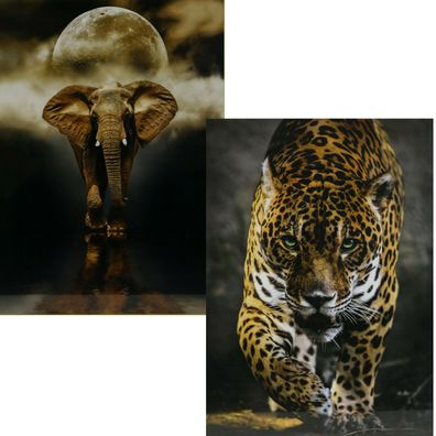 Clementoni Puzzle 1000-Teile Wildlife Animals High Quality Collection Wildnis