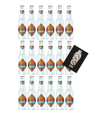 Salitos 18er Set Bier Salitos Ice Beer 18x 0,33L (5,2% Vol) inkl. Pfand Mehrweg