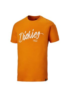 Dickies T-Shirt Hanston, orange : -