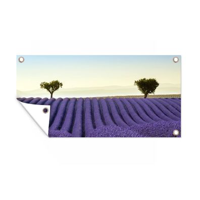 Gartenposter - Die perfekten Reihen von Lavendelfeldern mit zwei Bäumen am Horizont -