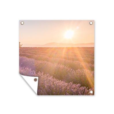 Gartenposter - Die Sonnenstrahlen fallen auf die Reihen eines Lavendelfeldes - 100x10