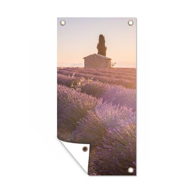 Gartenposter - Die Sonnenstrahlen fallen auf die Reihen eines Lavendelfeldes - 40x80