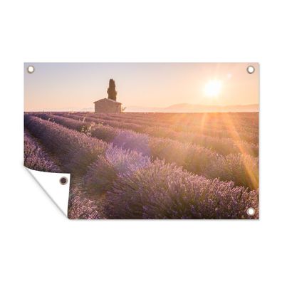 Gartenposter - Die Sonnenstrahlen fallen auf Reihen eines Lavendelfeldes - 120x80 cm