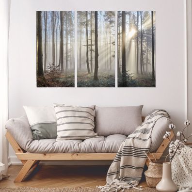 Leinwand Bilder SET 3-Teilig Sonnenaufgang in der Waldlandschaft Wandbilder 1952