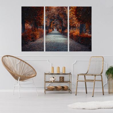 Leinwand Bilder SET 3-Teilig Herbstweg im Wald 3D Wandbilder xxl 1984