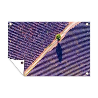 Gartenposter - Eine Luftaufnahme eines Lavendelfeldes in Frankreich - 120x80 cm - Gar