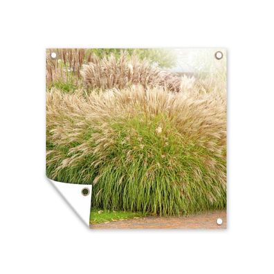 Gartenposter - Eine Menge schönes Schilf - 50x50 cm - Gartendeko