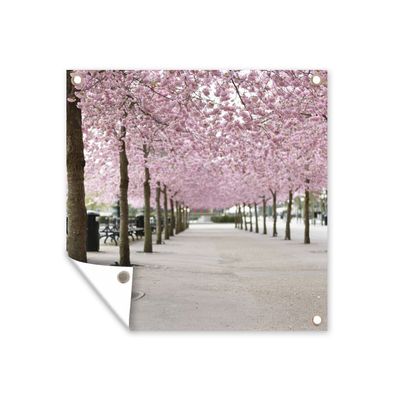 Gartenposter - Frühling - Sakura - Bäume - 100x100 cm - Gartendeko