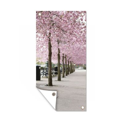 Gartenposter - Frühling - Sakura - Bäume - 100x200 cm - Gartendeko