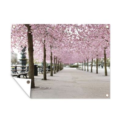 Gartenposter - Frühling - Sakura - Bäume - 120x90 cm - Gartendeko