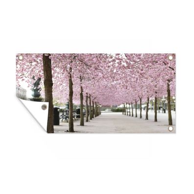 Gartenposter - Frühling - Sakura - Bäume - 160x80 cm - Gartendeko
