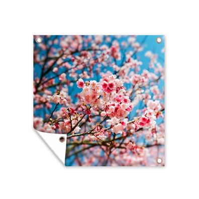 Gartenposter - Frühling - Sakura - Rosa - 100x100 cm - Gartendeko