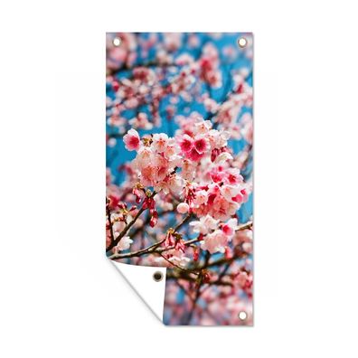 Gartenposter - Frühling - Sakura - Rosa - 100x200 cm - Gartendeko