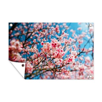 Gartenposter - Frühling - Sakura - Rosa - 120x80 cm - Gartendeko