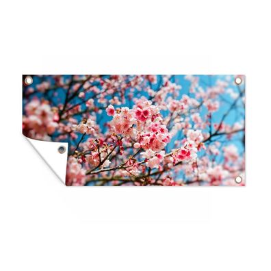 Gartenposter - Frühling - Sakura - Rosa - 200x100 cm - Gartendeko