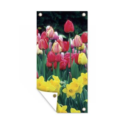 Gartenposter - Frühling - Tulpen - Narzissen - 30x60 cm - Gartendeko