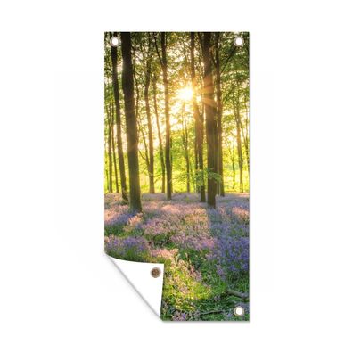 Gartenposter - Frühling - Wald - Sonne - 30x60 cm - Gartendeko