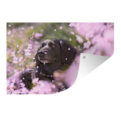Gartenposter - Hund - Blumen - Haustier - 120x80 cm - Gartendeko