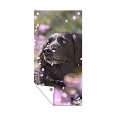 Gartenposter - Hund - Blumen - Haustier - 40x80 cm - Gartendeko