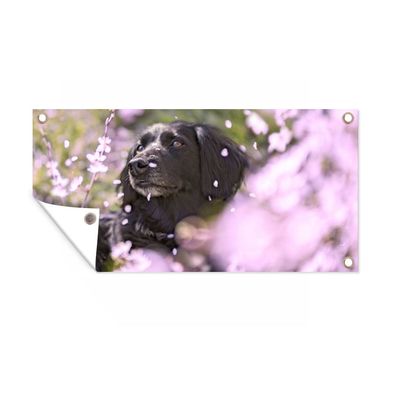 Gartenposter - Hund - Blumen - Haustier - 80x40 cm - Gartendeko