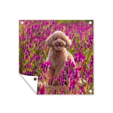 Gartenposter - Hund - Blumen - Lavendel - Frühling - 100x100 cm - Gartendeko