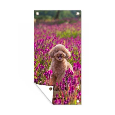 Gartenposter - Hund - Blumen - Lavendel - Frühling - 100x200 cm - Gartendeko