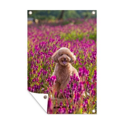 Gartenposter - Hund - Blumen - Lavendel - Frühling - 120x180 cm - Gartendeko