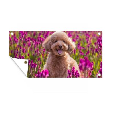 Gartenposter - Hund - Blumen - Lavendel - Frühling - 80x40 cm - Gartendeko