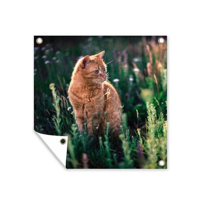 Gartenposter - Katze - Blumen - Mantel - 100x100 cm - Gartendeko