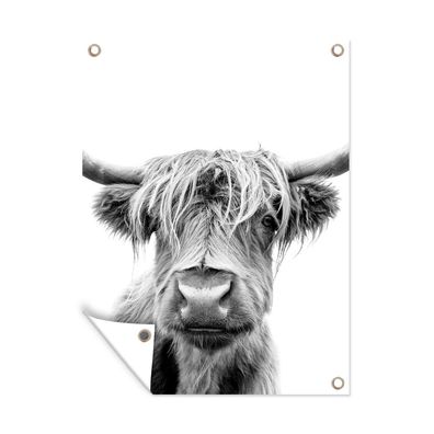 Gartenposter - Kuh - Schottisches Hochlandrind - Schwarz - Weiß - 60x80 cm - Gartende