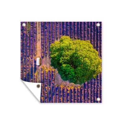 Gartenposter - Luftaufnahme eines großen Baumes in einem Lavendelfeld - 100x100 cm -