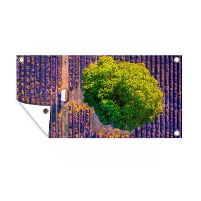 Gartenposter - Luftaufnahme eines großen Baumes in einem Lavendelfeld - 200x100 cm -