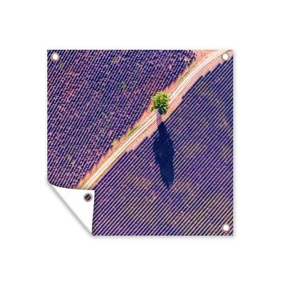 Gartenposter - Luftaufnahme eines Lavendelfeldes in Frankreich - 100x100 cm - Gartend