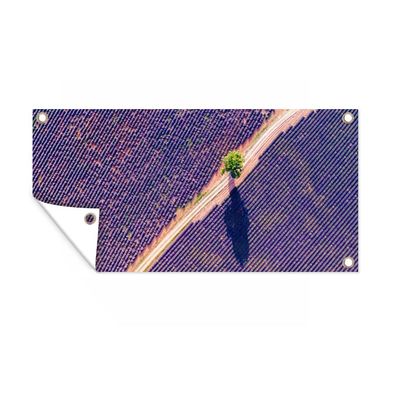 Gartenposter - Luftaufnahme eines Lavendelfeldes in Frankreich - 160x80 cm - Gartende
