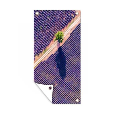 Gartenposter - Luftaufnahme eines Lavendelfeldes in Frankreich - 40x80 cm - Gartendek