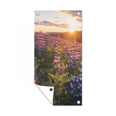 Gartenposter - Lupine - Sonne - Lila - 40x80 cm - Gartendeko