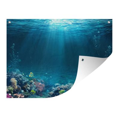Gartenposter - Ozean - Fisch - Koralle - 160x120 cm - Gartendeko