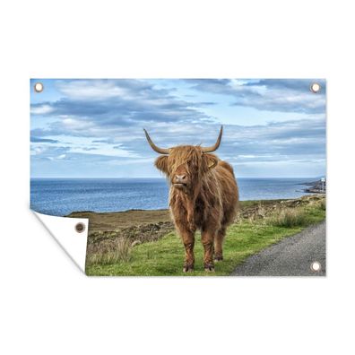 Gartenposter - Schottisches Hochlandrind - Wolken - Landschaft - 180x120 cm - Gartend