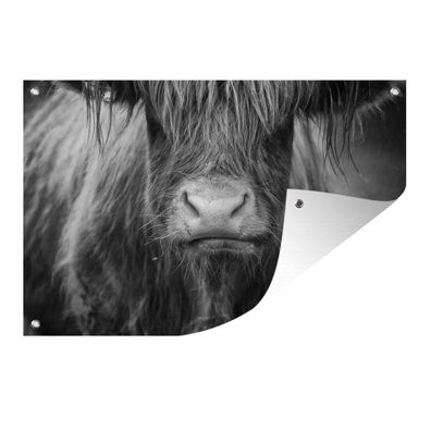 Gartenposter - Schottisches Hochlandrind - Haare - Tiere - 90x60 cm - Gartendeko