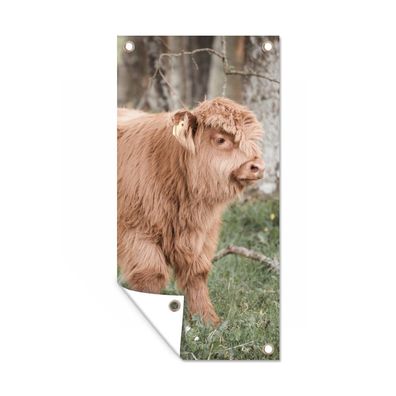 Gartenposter - Schottisches Hochlandrind - Licht - Wald - 30x60 cm - Gartendeko
