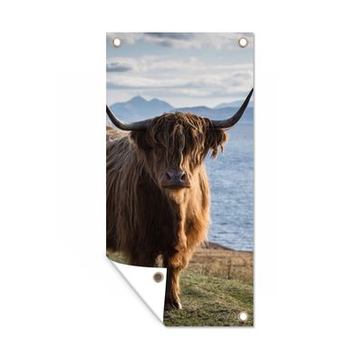 Gartenposter - Schottisches Hochlandrind - Licht - Wasser - 30x60 cm - Gartendeko