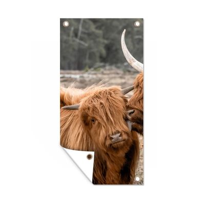 Gartenposter - Schottisches Hochlandrind - Liebe - Porträt - 30x60 cm - Gartendeko