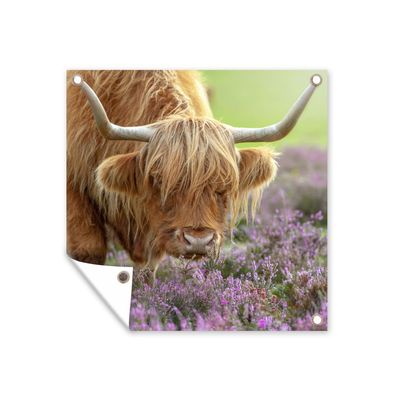 Gartenposter - Schottisches Hochlandrind - Lila - Blumen - 100x100 cm - Gartendeko